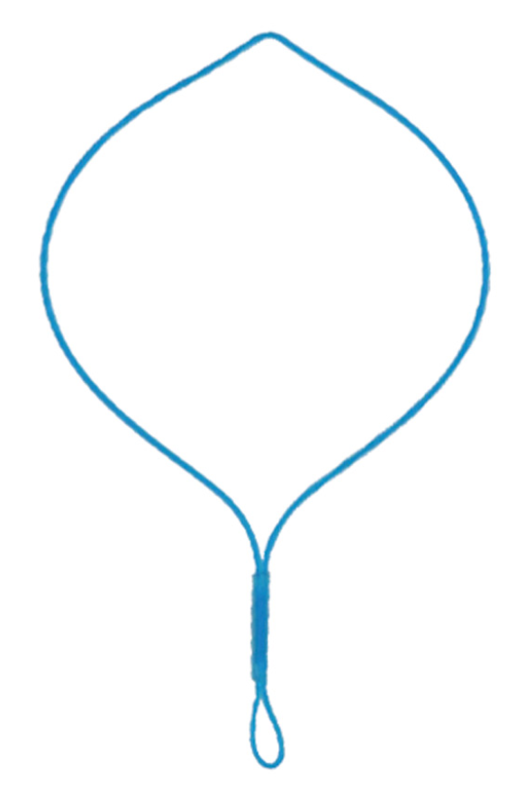 Endo-Loop Applikator